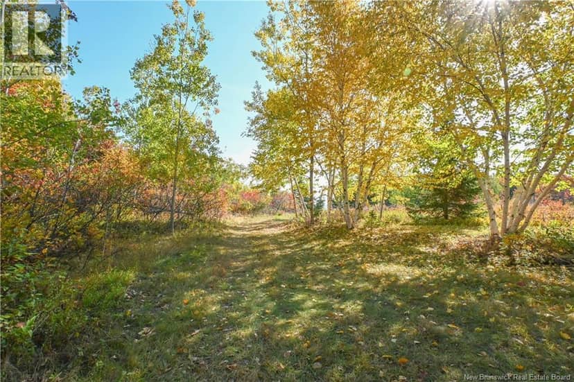 Lot Olivier Road — photo 17 of 25