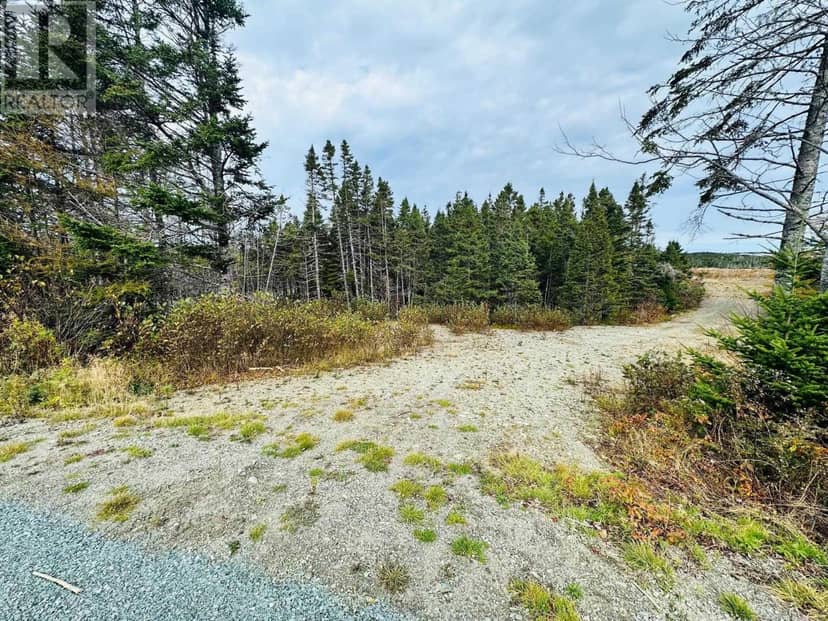 Lot 09-5 West Liscomb Point Road — photo 6 of 16