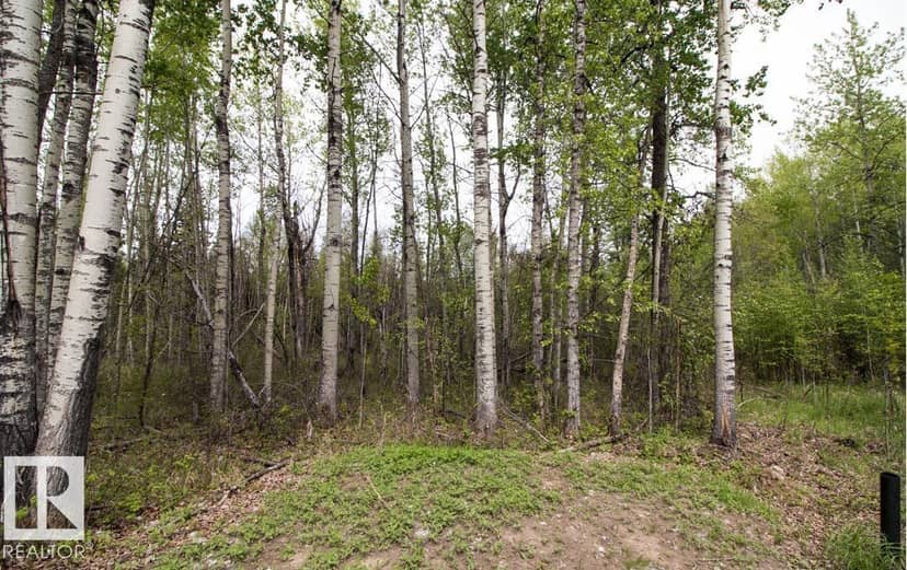 #131 5519 Twp Rd 550, Rural Lac Ste. Anne County, photo 8