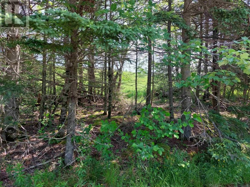 Lot 3 Grand Mira Rd S — photo 10 of 11