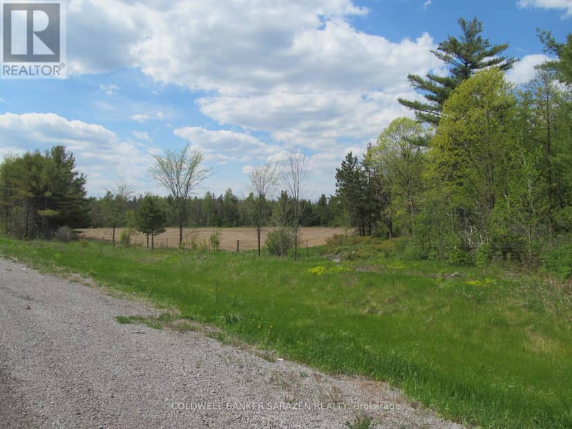 00 Scheel Drive — photo 10 of 11