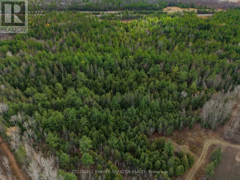 00 Scheel Drive — photo 2 of 11