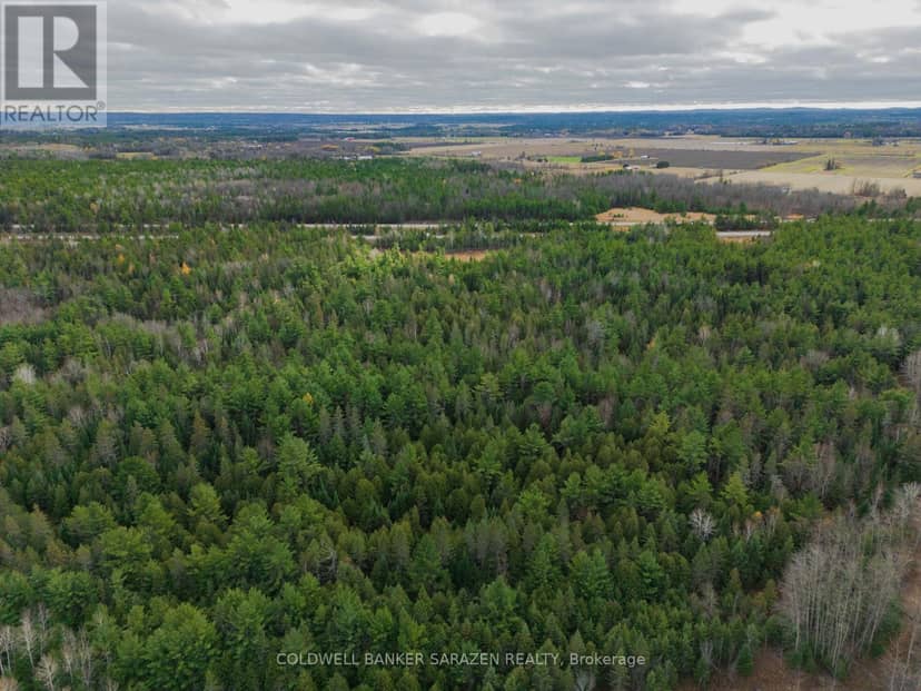 00 Scheel Drive — photo 3 of 11