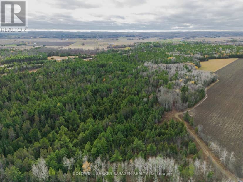 00 Scheel Drive — photo 8 of 11