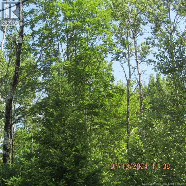 LOT 82-11 Route 770 — photo 2 of 4