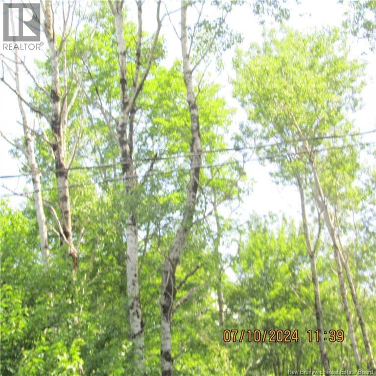 LOT 82-11 Route 770 — photo 3 of 4