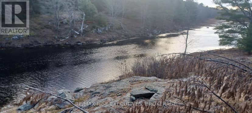 Kaladar Con 9 Lt 21 — photo 5 of 12