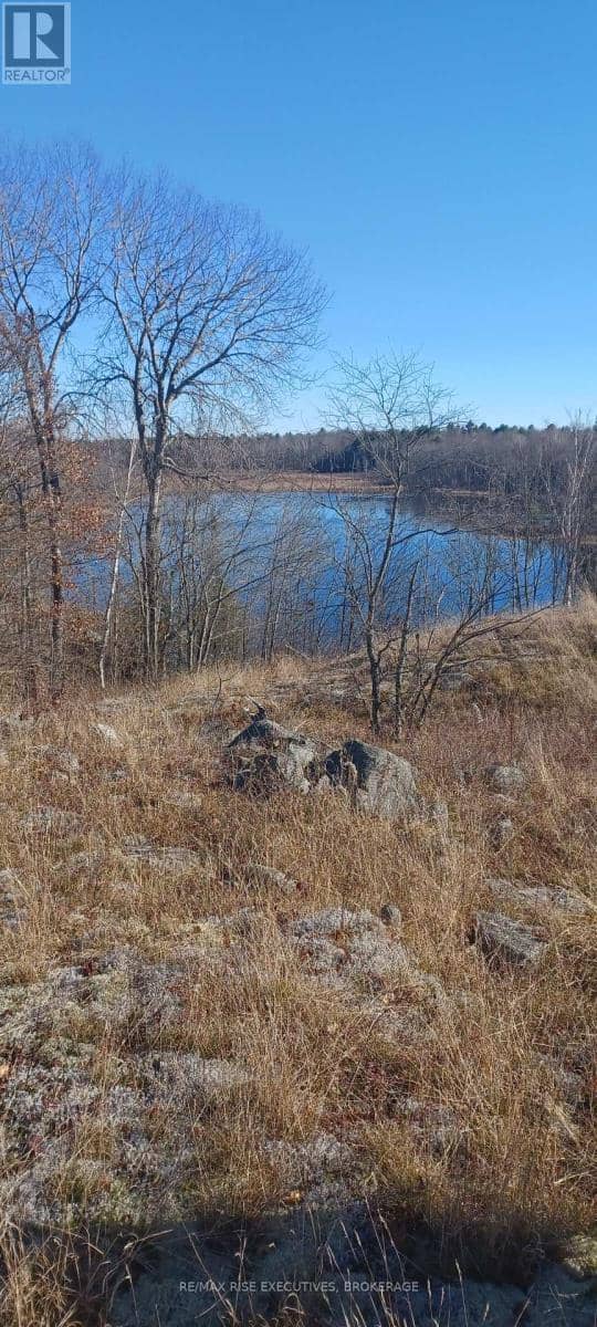 Kaladar Con 9 Lt 21 — photo 7 of 12