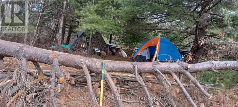 Kaladar Con 9 Lt 21 — photo 9 of 12