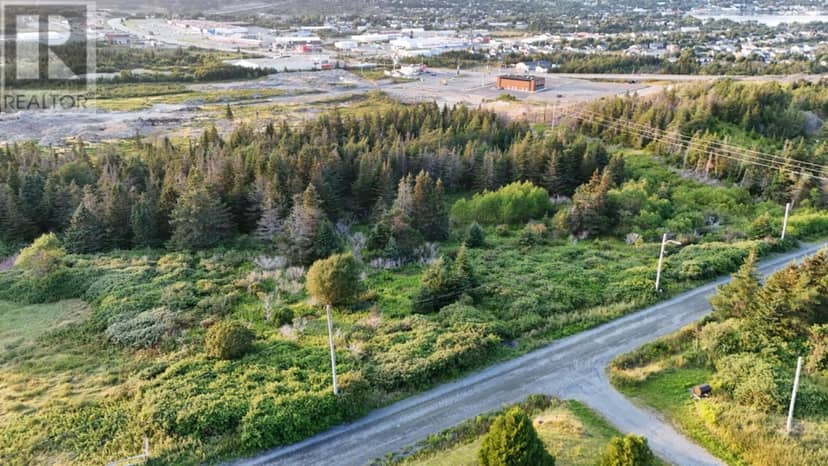 0 Clarkes Road, Carbonear, photo 7
