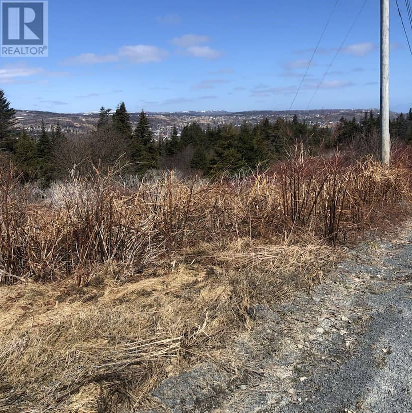 0 Clarkes Road, Carbonear, photo 8