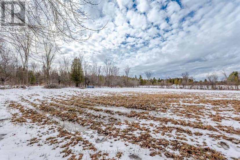 Lot Black River Road — photo 27 of 29