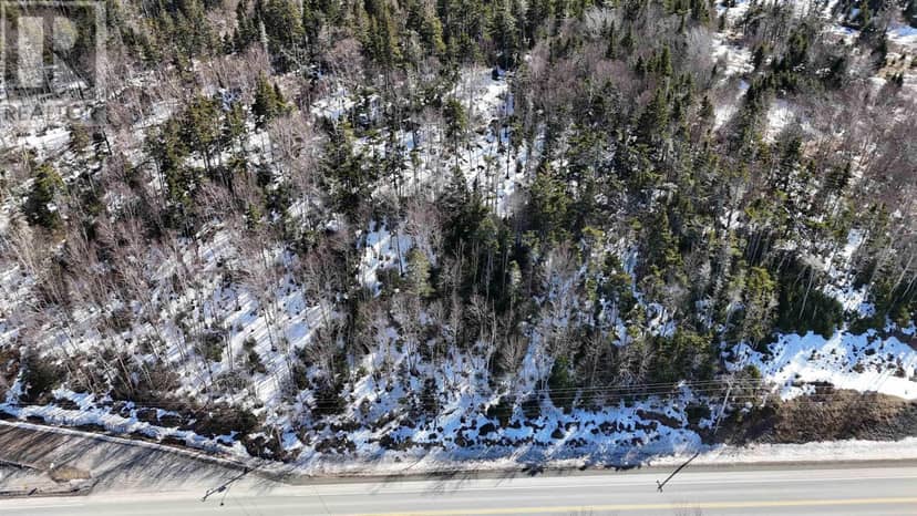 Highway 4 — photo 6 of 15