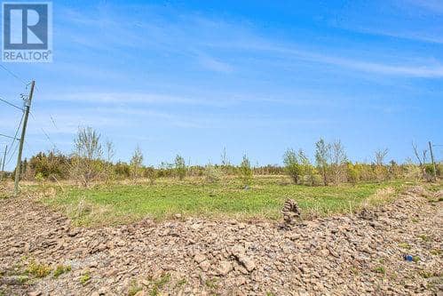 7 McDonell Crescent — photo 9 of 23