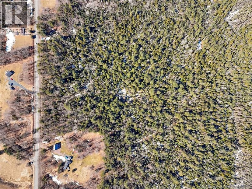 Lot 24-1 Route 102 — photo 11 of 22