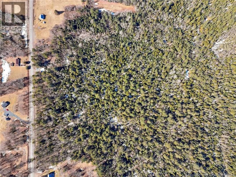 Lot 24-2 Route 102 — photo 12 of 22