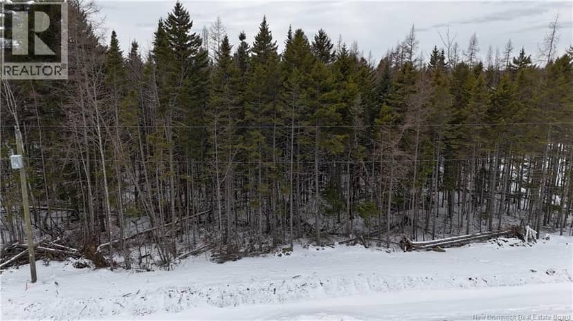 LOT 2024-20 EAGLES Lane — photo 2 of 6
