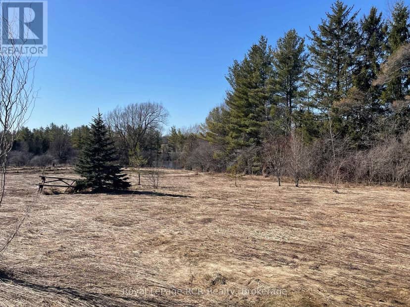 072988 Southgate Sideroad 7 — photo 10 of 17