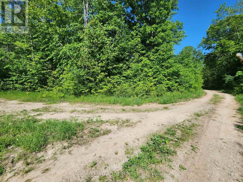Lot 4-5 McLellan Road — photo 23 of 30