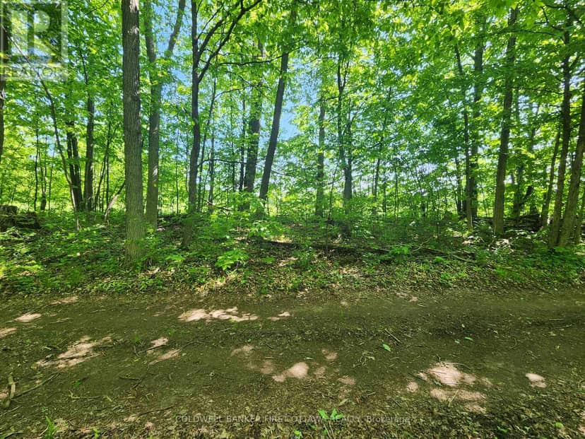 Lot 4-5 McLellan Road — photo 26 of 30
