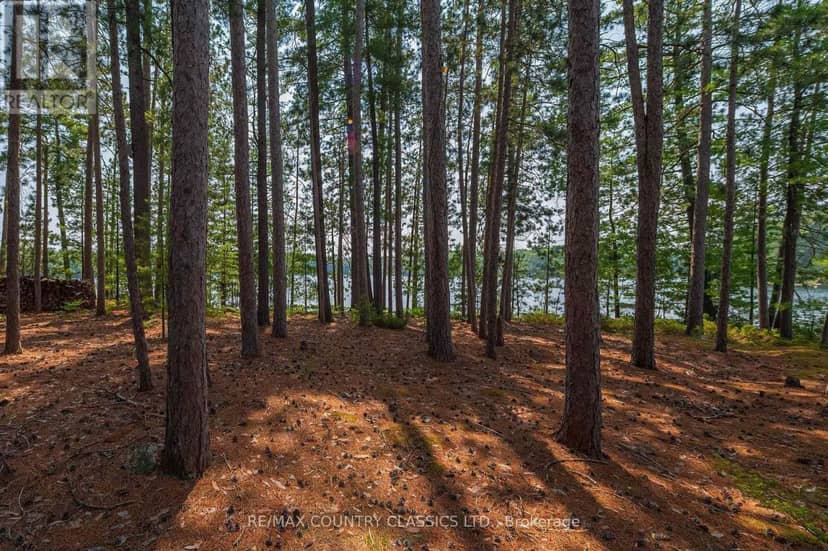 22 Chandos Lk Balmer Island — photo 38 of 40