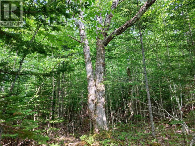 Lot 9 Leo's Lane, Roberta, photo 6