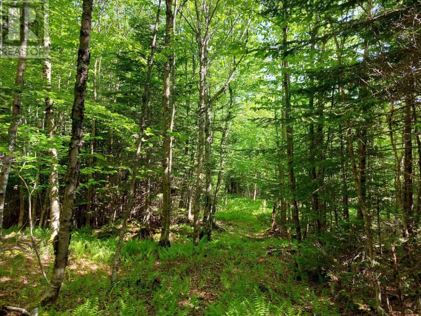 Lot 9 Leo's Lane, Roberta, photo 7