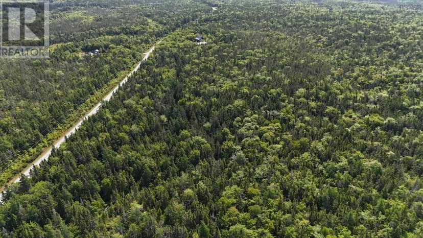 70 acre Highway 4 — photo 6 of 12