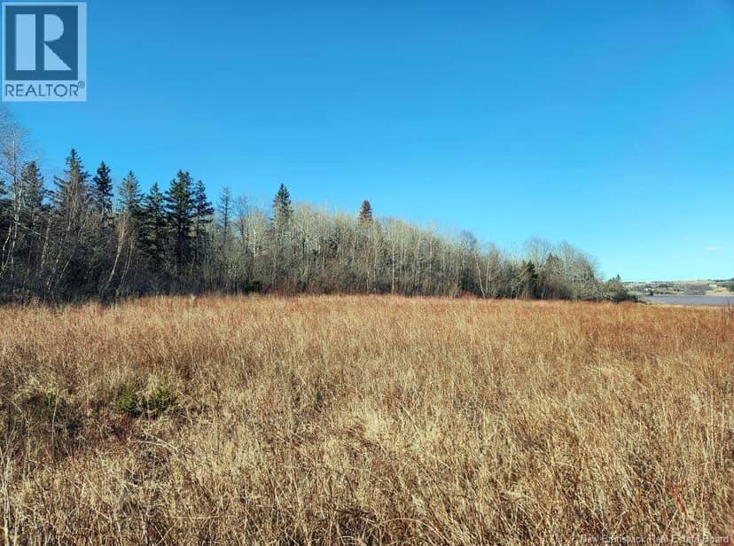 Lot Christopher Road — photo 15 of 24
