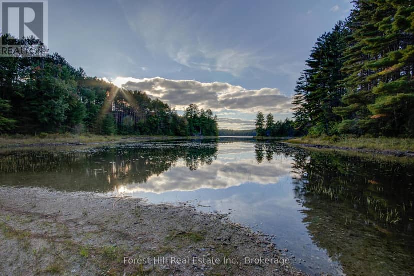 1130 Chetwynd Road, Armour, photo 8