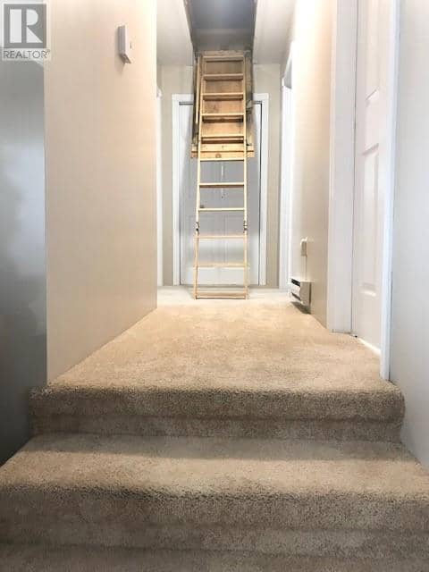 15 Cox Avenue — photo 25 of 40