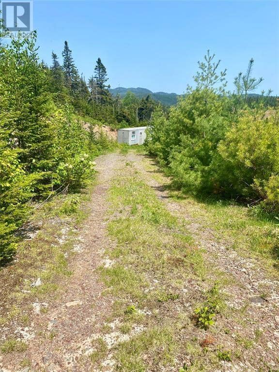 0 Second (Rex's Harbour)Pond Resource Road — photo 27 of 28