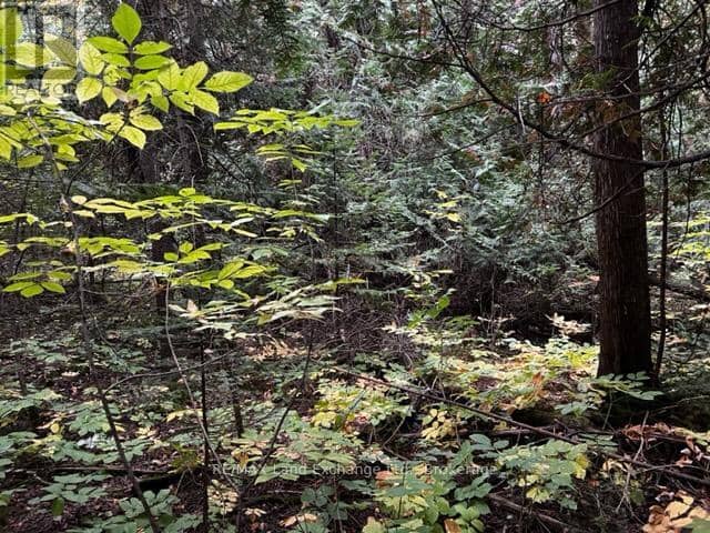 4 Shore Road — photo 7 of 11