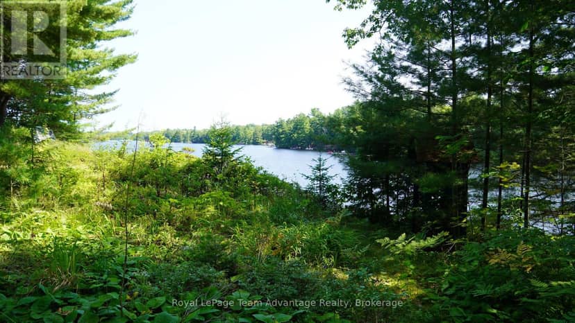 25 Peninsula Shore Road E, McDougall, photo 3