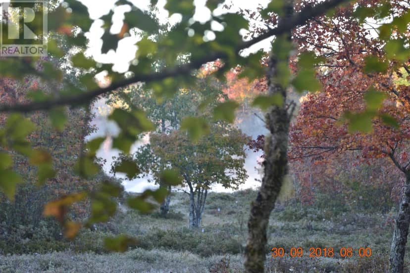 Lot Napier River, East Kemptville, photo 5