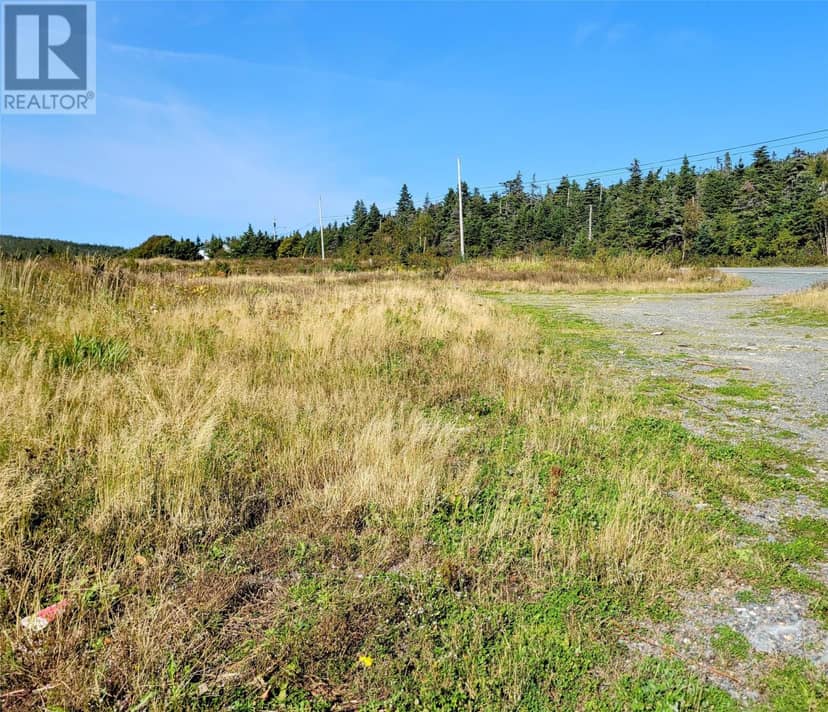 285 Maddox Cove Road, St. John's, photo 4