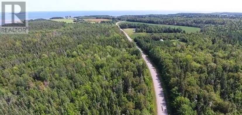 2.85 Acreage Primrose Road, RTE 311, Launching, photo 2