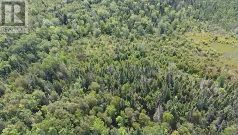 2.85 Acreage Primrose Road, RTE 311, Launching, photo 4