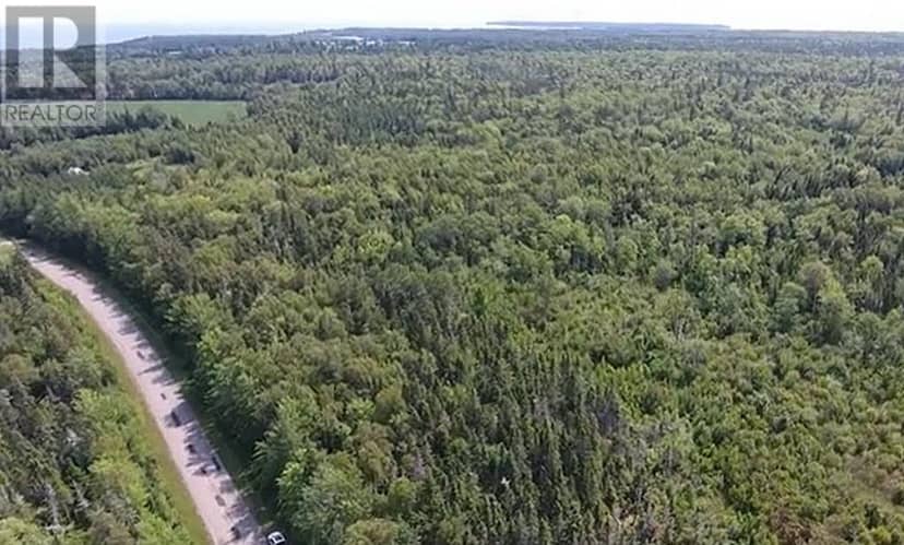 2.85 Acreage Primrose Road, RTE 311, Launching, photo 5