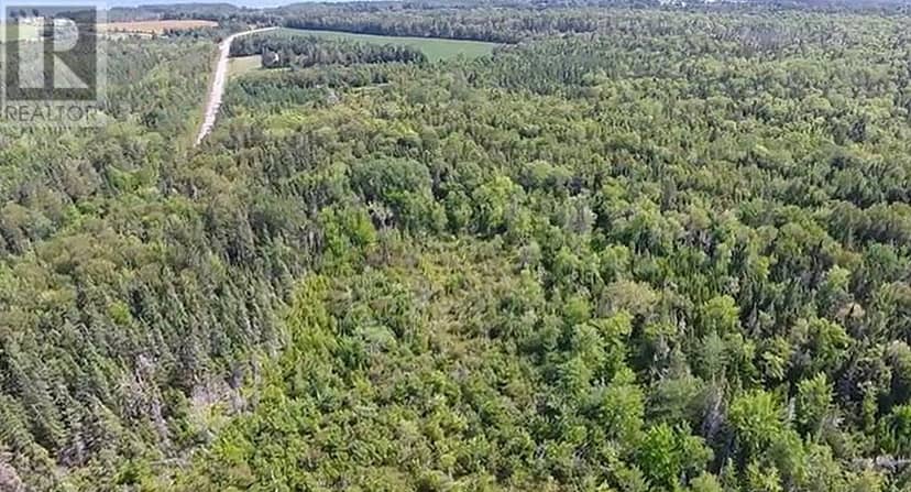 2.85 Acreage Primrose Road, RTE 311, Launching, photo 8