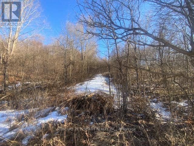 00 Lot 2 COUNTY10 Road — photo 4 of 8