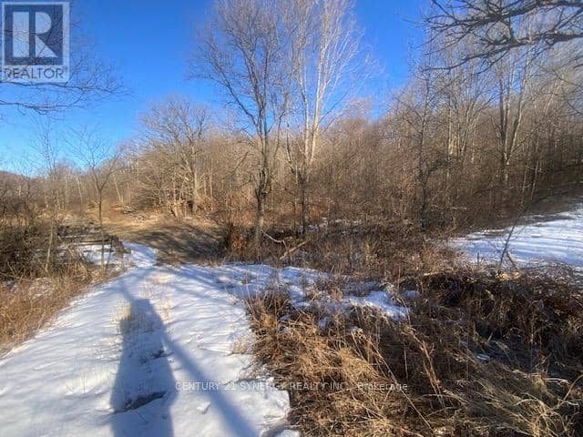 00 Lot 1 County  Rd 10 Road, Rideau Lakes, photo 4