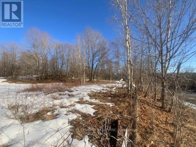 00 Lot 1 County  Rd 10 Road, Rideau Lakes, photo 6