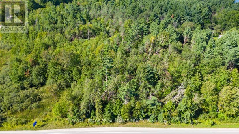 1031 Road 506 — photo 17 of 26