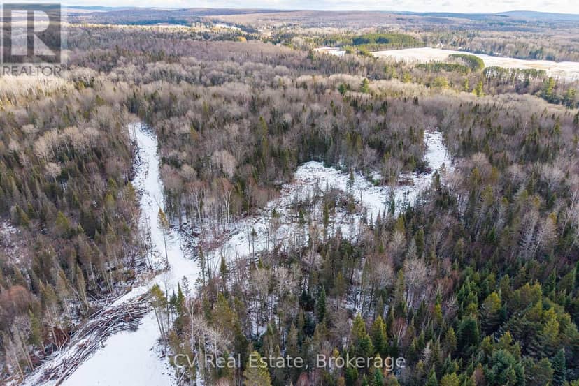 133 Berriedale Road — photo 15 of 36