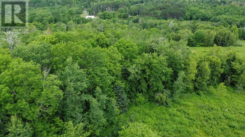 Lot 235 Landsdowne Station Road, Lansdowne Station, photo 6