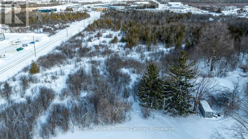401 Raglan Street — photo 8 of 15