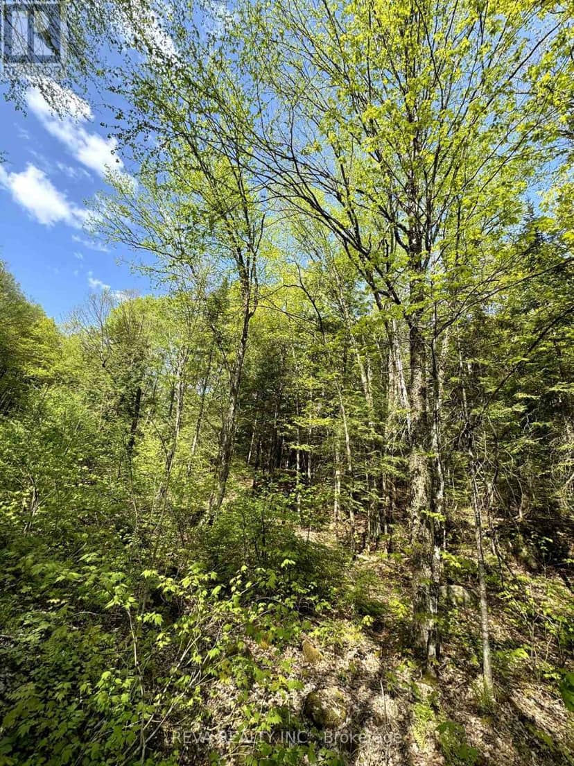 0 Salmon Trout Lake Road, Hastings Highlands