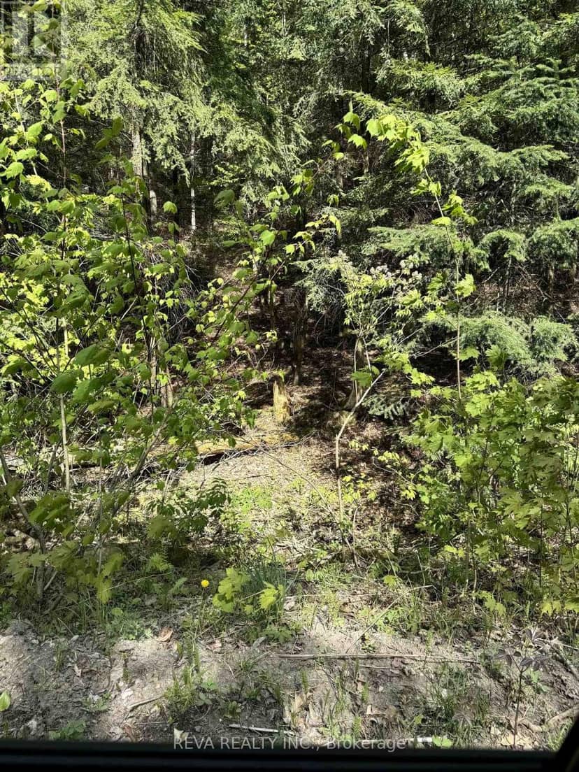 0 Salmon Trout Lake Road — photo 13 of 14