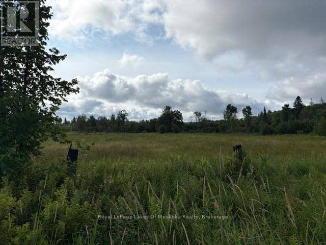 0 Old Muskoka To The West Side Of #1105 Road — photo 1 of 8